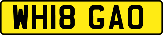 WH18GAO