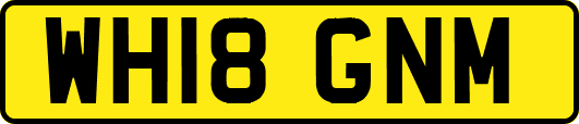 WH18GNM