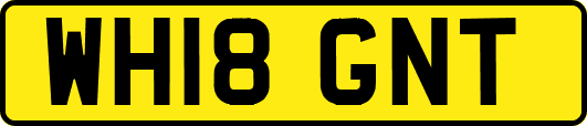 WH18GNT