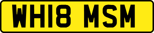WH18MSM