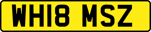 WH18MSZ