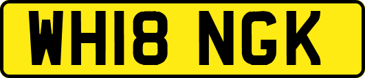 WH18NGK
