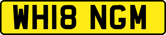 WH18NGM