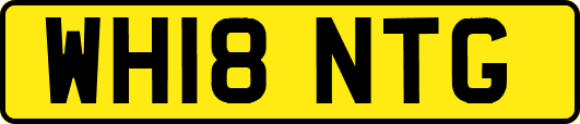 WH18NTG