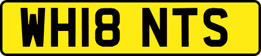 WH18NTS