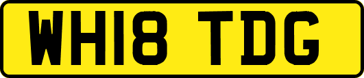 WH18TDG