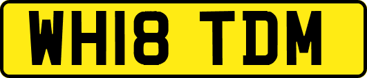 WH18TDM