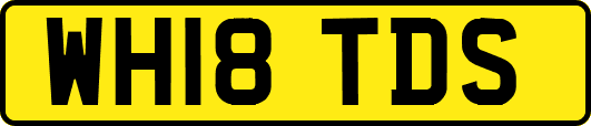 WH18TDS