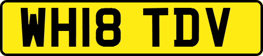 WH18TDV