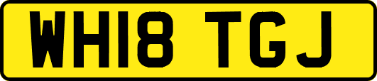 WH18TGJ