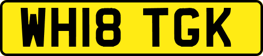 WH18TGK
