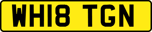 WH18TGN