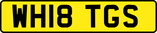 WH18TGS