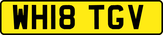 WH18TGV