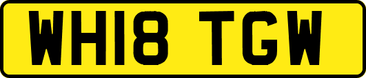 WH18TGW
