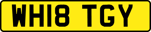 WH18TGY