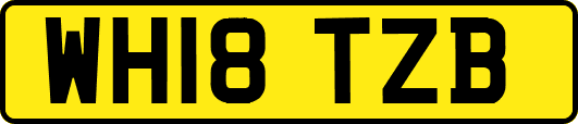WH18TZB