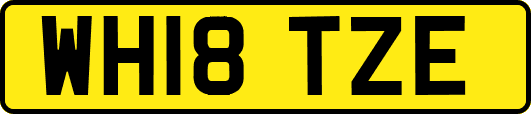 WH18TZE