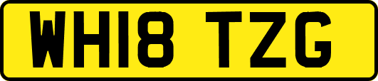 WH18TZG