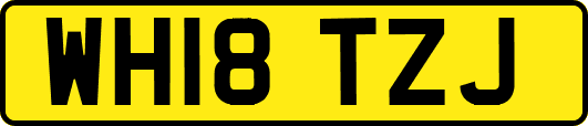 WH18TZJ