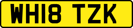 WH18TZK
