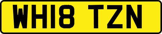 WH18TZN