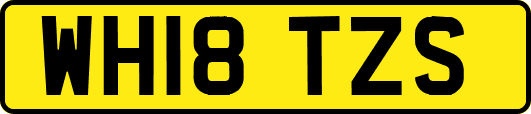 WH18TZS