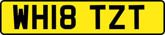 WH18TZT