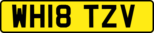 WH18TZV