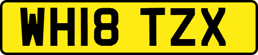 WH18TZX