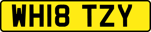 WH18TZY