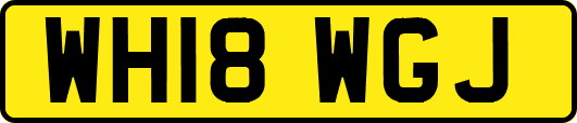 WH18WGJ