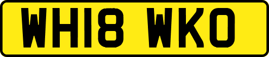 WH18WKO