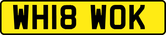 WH18WOK