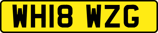 WH18WZG