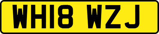 WH18WZJ