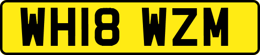 WH18WZM