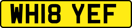 WH18YEF