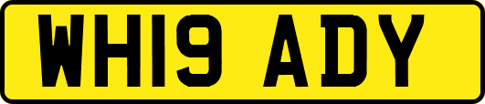 WH19ADY