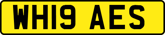 WH19AES
