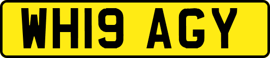 WH19AGY