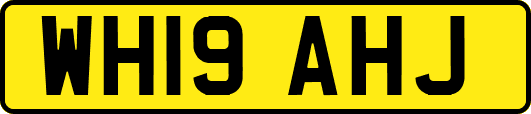 WH19AHJ