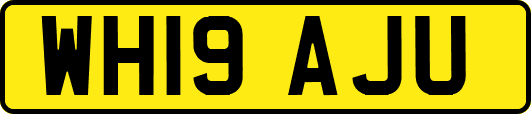 WH19AJU