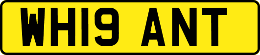 WH19ANT