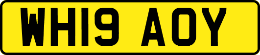 WH19AOY