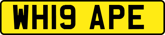 WH19APE
