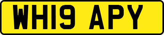 WH19APY