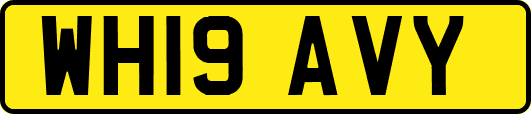 WH19AVY