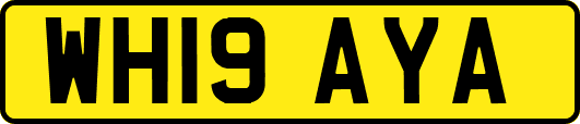 WH19AYA