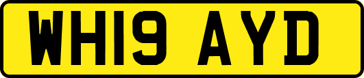 WH19AYD